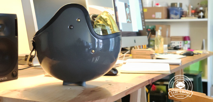 The Frog Helmet Support