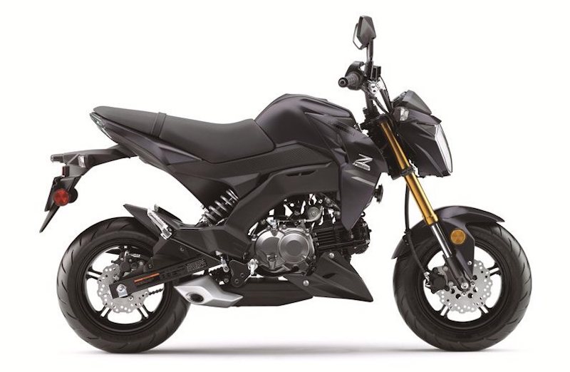 Kawasaki Z125 Pro