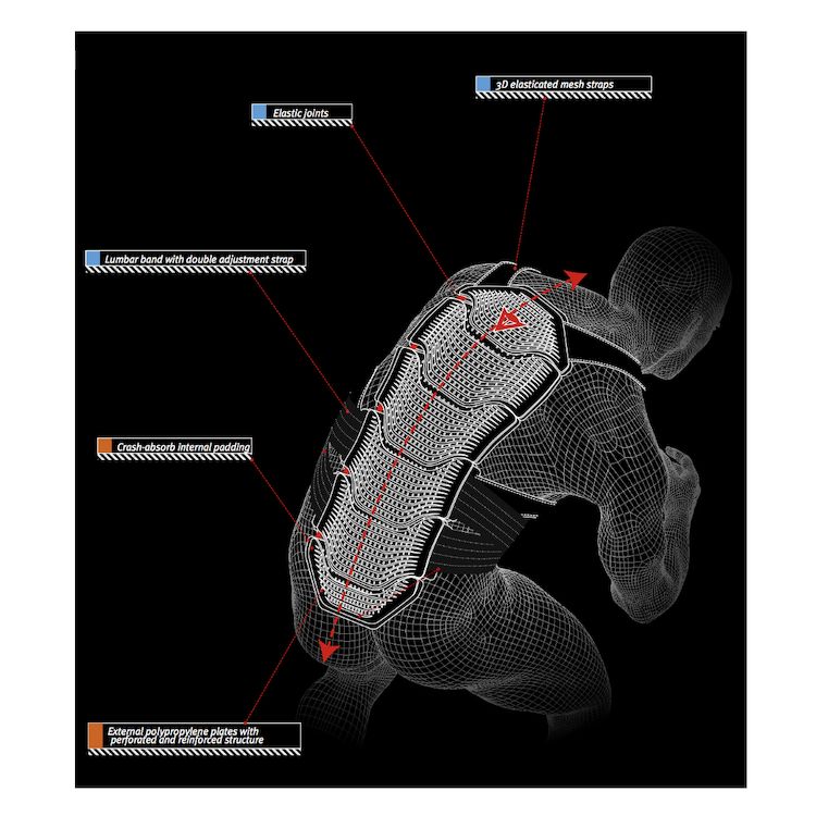 Dainese back protector