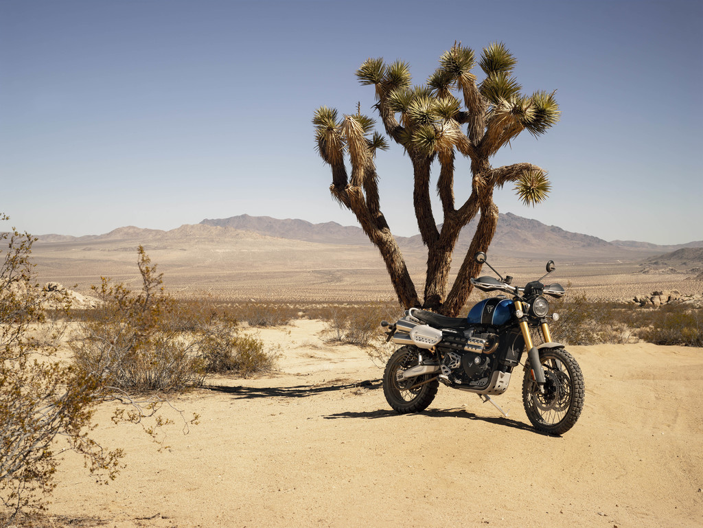 Triumph Scrambler 1200 XE parked in the desert