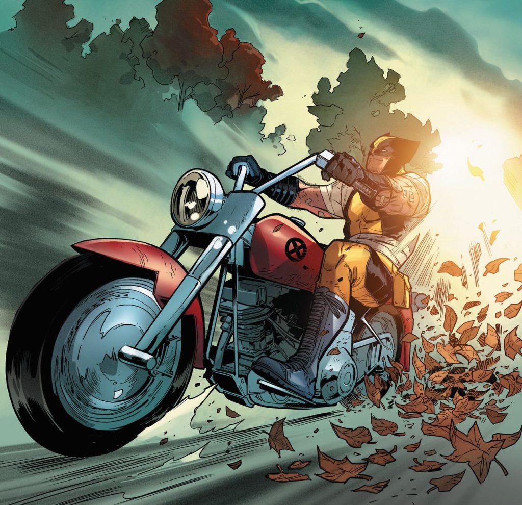 Wolverine Riding a Motorcycle