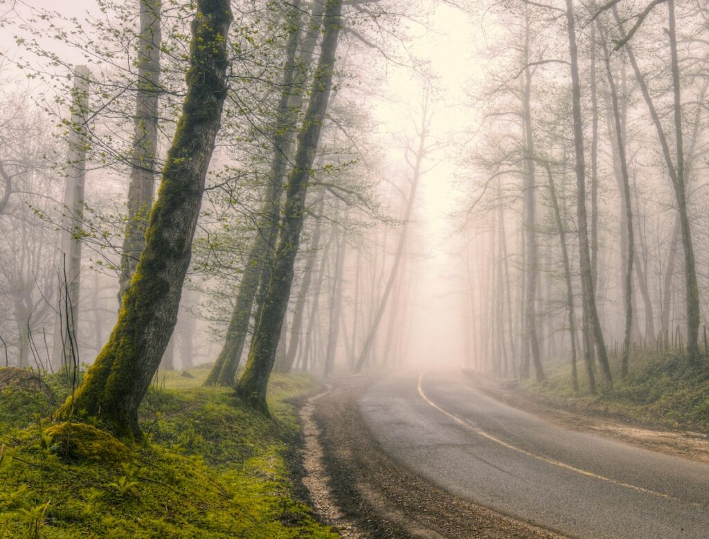 a foggy road