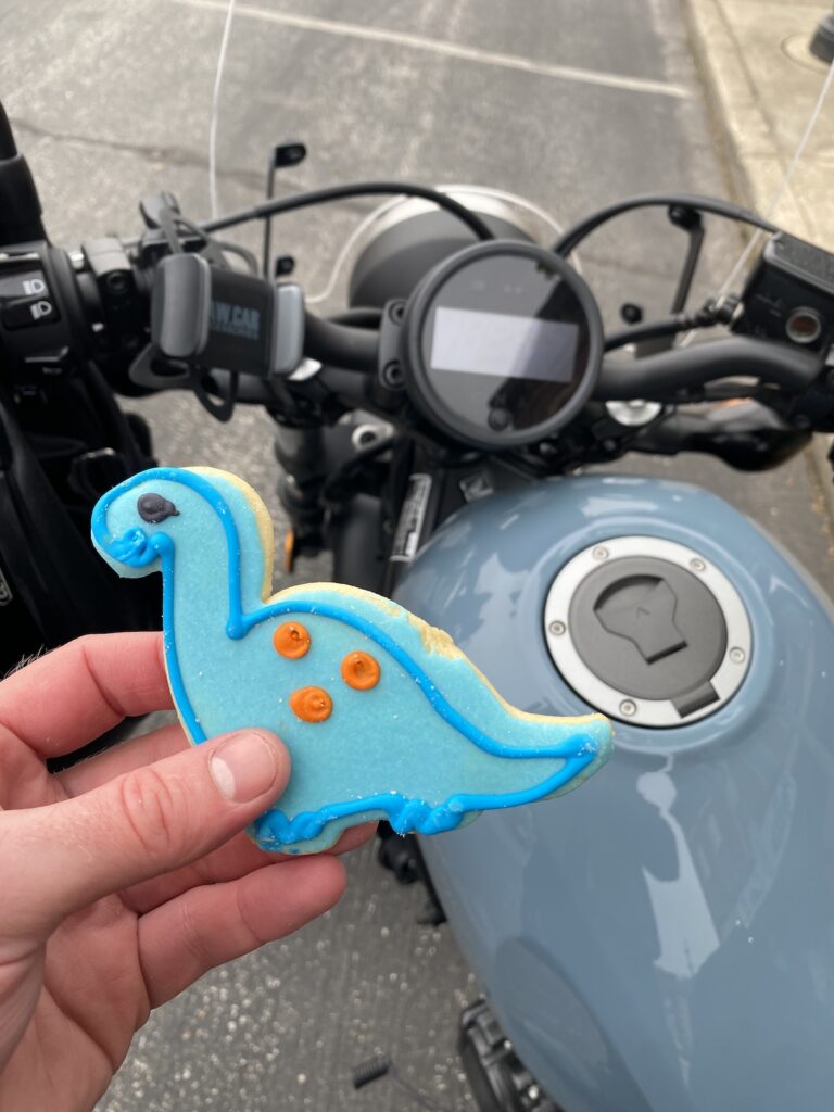 A dinosaur shaped cookie from Horsts little bakery in Madison Indiana