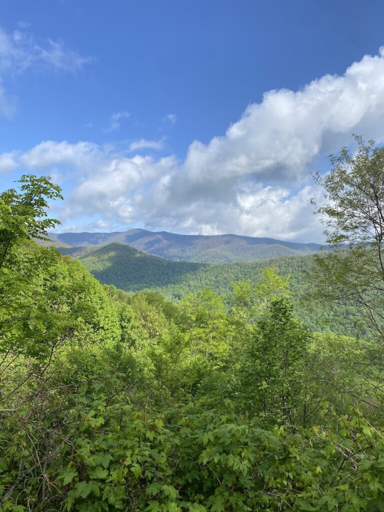 Scenic view from Cherohala Skyway