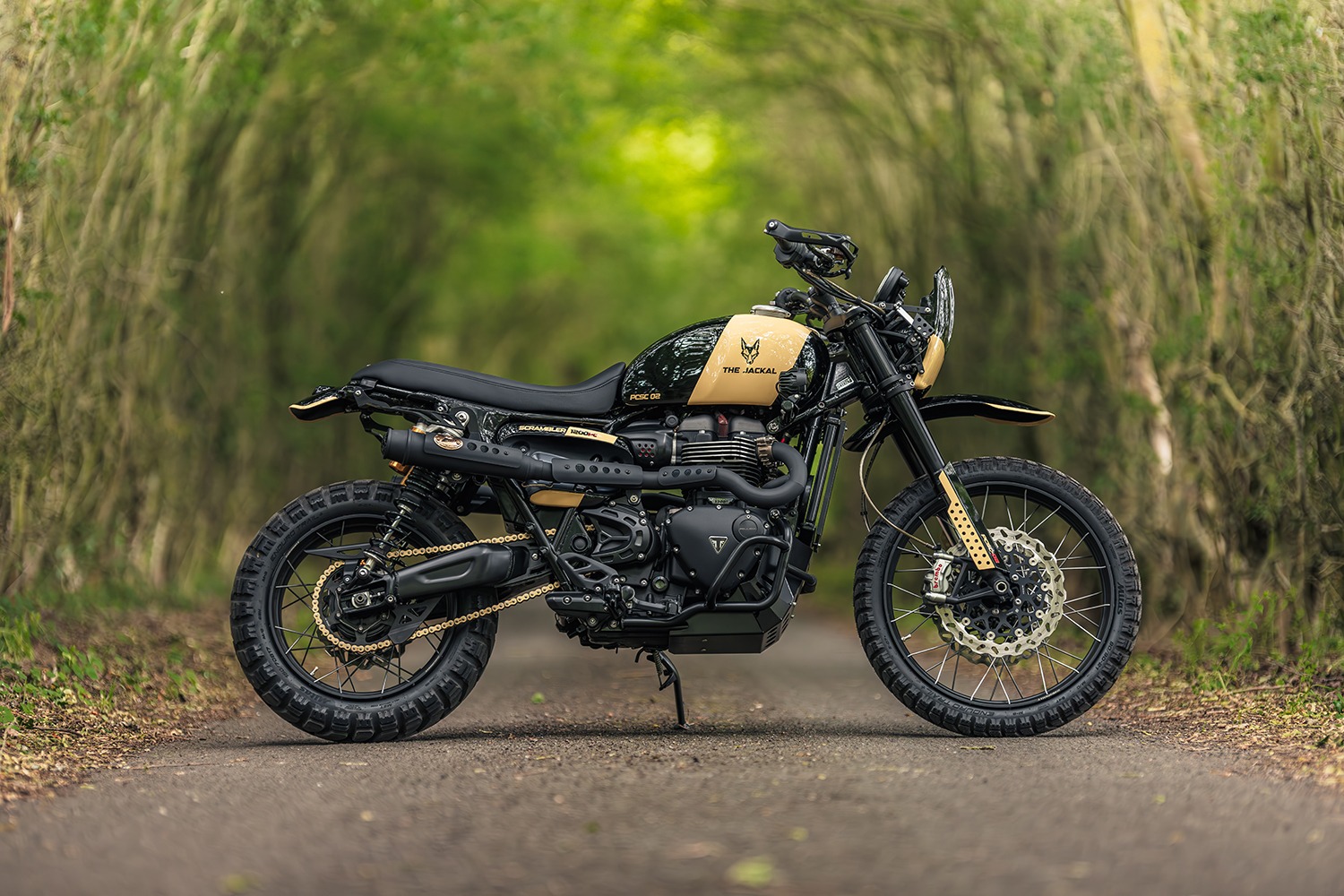 The Jackal: Custom Triumph Scrambler 1200 XC by Poulson Creative